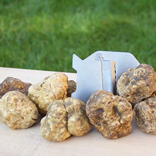 Taste of Truffles - Professional Truffle Shaver - Stainless Steel - Image 2
